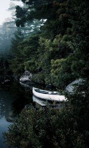 Preview wallpaper boat, lake, spruce, branches, trees
