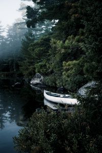 Preview wallpaper boat, lake, spruce, branches, trees