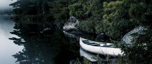 Preview wallpaper boat, lake, spruce, branches, trees