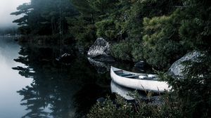 Preview wallpaper boat, lake, spruce, branches, trees