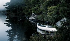 Preview wallpaper boat, lake, spruce, branches, trees