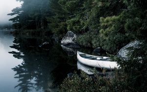 Preview wallpaper boat, lake, spruce, branches, trees