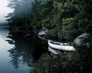 Preview wallpaper boat, lake, spruce, branches, trees