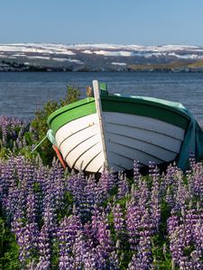 Preview wallpaper boat, lupine, flowers, lake