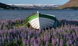 Preview wallpaper boat, lupine, flowers, lake