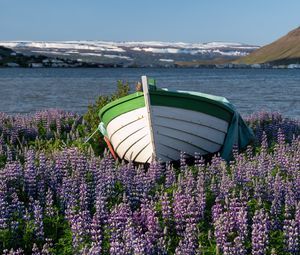 Preview wallpaper boat, lupine, flowers, lake