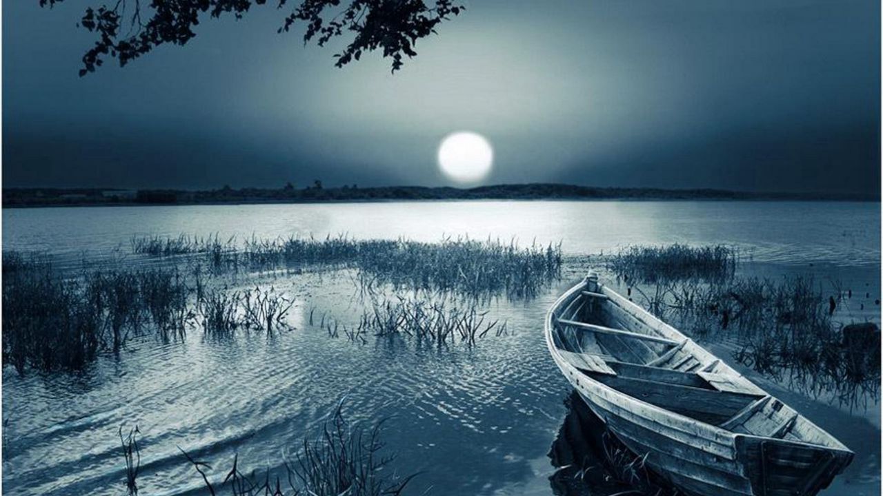 Wallpaper boat, moon, disk, light, darkness, grass, inclination, reservoir