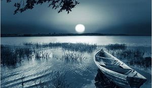 Preview wallpaper boat, moon, disk, light, darkness, grass, inclination, reservoir