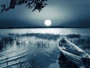 Preview wallpaper boat, moon, disk, light, darkness, grass, inclination, reservoir
