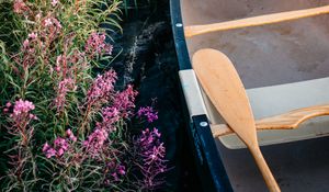 Preview wallpaper boat, paddle, coast, flowers, water