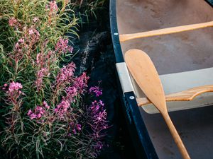 Preview wallpaper boat, paddle, coast, flowers, water