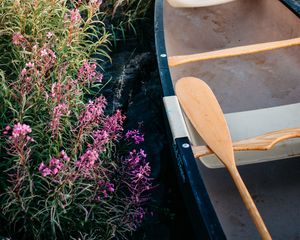 Preview wallpaper boat, paddle, coast, flowers, water