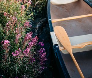 Preview wallpaper boat, paddle, coast, flowers, water