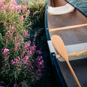 Preview wallpaper boat, paddle, coast, flowers, water