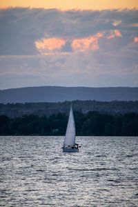 Preview wallpaper boat, sail, sea, trees