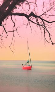 Preview wallpaper boat, sailboat, sea, branches, horizon