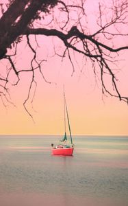 Preview wallpaper boat, sailboat, sea, branches, horizon