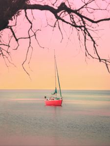 Preview wallpaper boat, sailboat, sea, branches, horizon