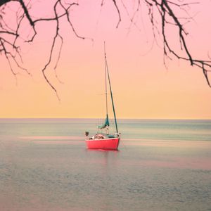 Preview wallpaper boat, sailboat, sea, branches, horizon