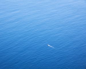 Preview wallpaper boat, sea, aerial view, water, minimalism