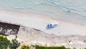 Preview wallpaper boat, sea, beach, trees, aerial view