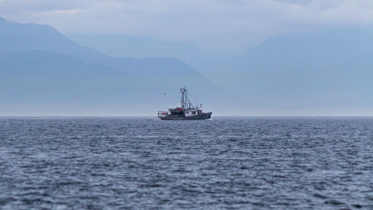 Wallpaper boat, sea, horizon, fog
