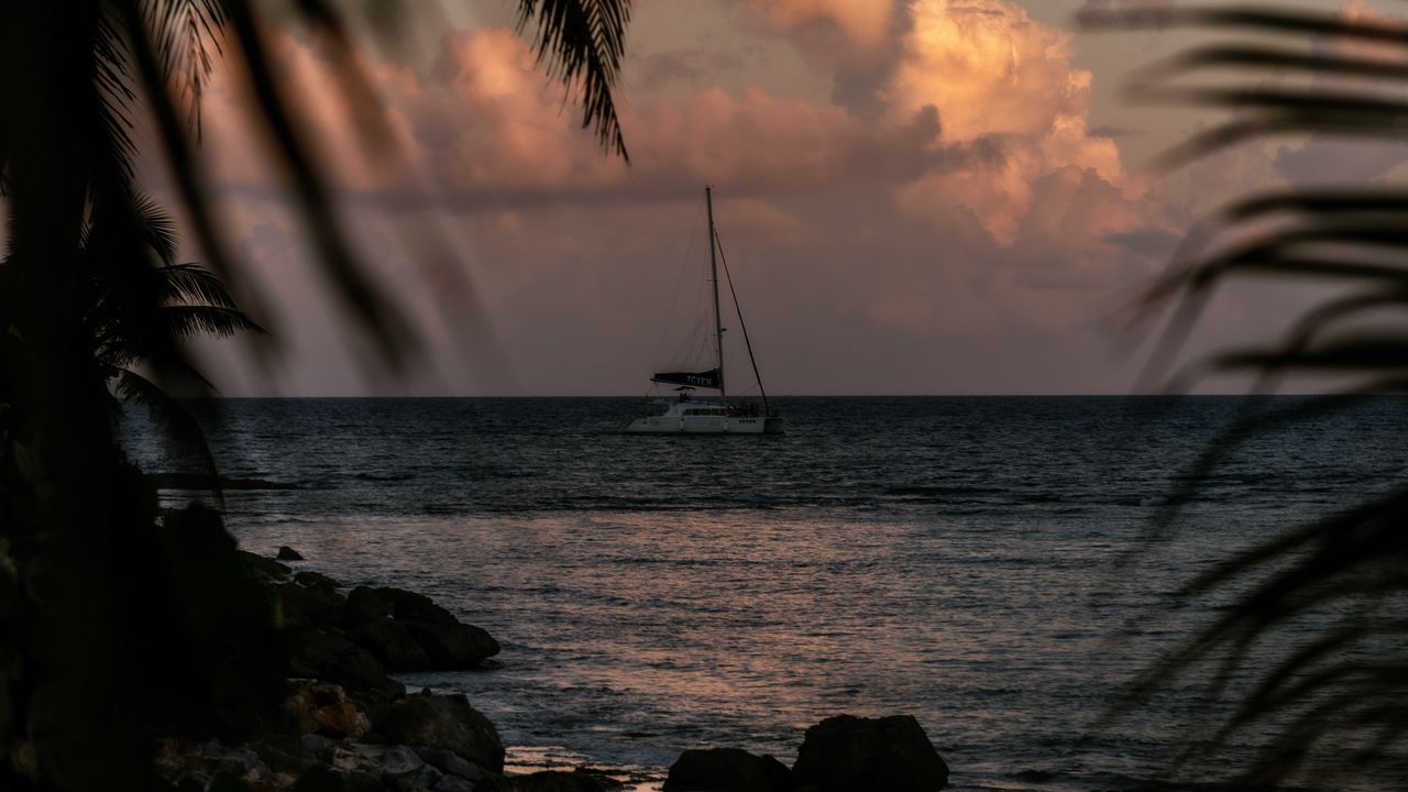 Wallpaper boat, sea, palm trees, branches, dusk