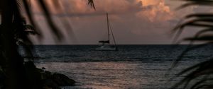 Preview wallpaper boat, sea, palm trees, branches, dusk