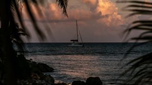 Preview wallpaper boat, sea, palm trees, branches, dusk