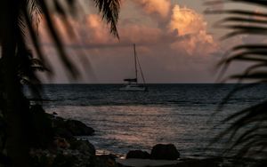 Preview wallpaper boat, sea, palm trees, branches, dusk