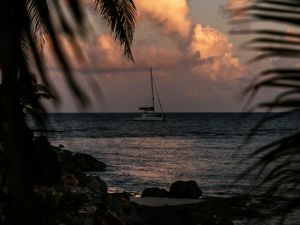 Preview wallpaper boat, sea, palm trees, branches, dusk