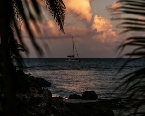 Preview wallpaper boat, sea, palm trees, branches, dusk