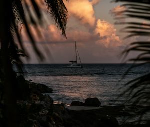 Preview wallpaper boat, sea, palm trees, branches, dusk