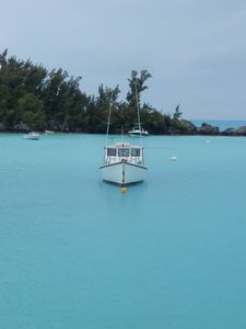 Preview wallpaper boat, sea, trees, island, nature