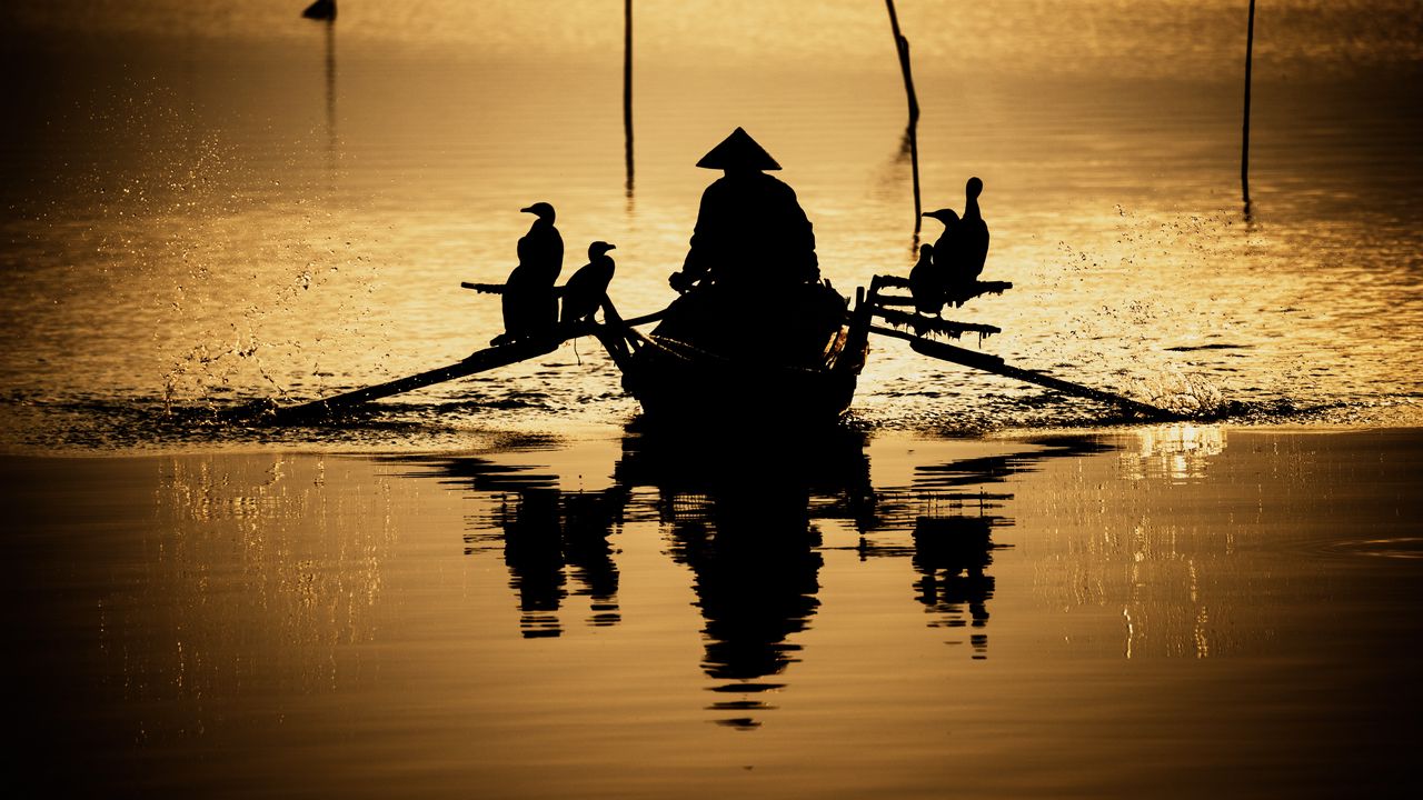 Wallpaper boat, silhouette, dark, river, oars, birds, reflection