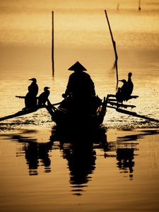 Preview wallpaper boat, silhouette, dark, river, oars, birds, reflection