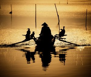 Preview wallpaper boat, silhouette, dark, river, oars, birds, reflection