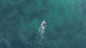 Preview wallpaper boat, top view, sea, water