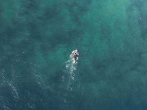 Preview wallpaper boat, top view, sea, water