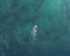 Preview wallpaper boat, top view, sea, water