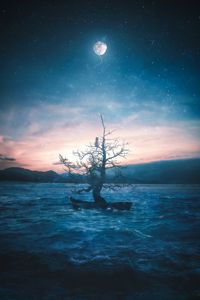 Preview wallpaper boat, tree, cat, moon