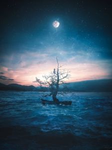 Preview wallpaper boat, tree, cat, moon