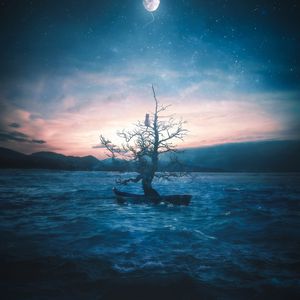 Preview wallpaper boat, tree, cat, moon