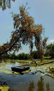 Preview wallpaper boat, trees, water-lilies, garden, sky, clouds, reflection, log, dead