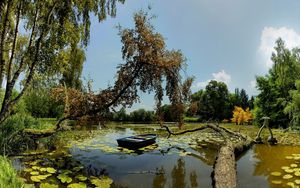Preview wallpaper boat, trees, water-lilies, garden, sky, clouds, reflection, log, dead