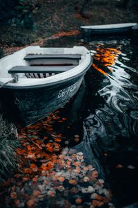 Preview wallpaper boat, water, foliage, shore, waves