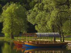 Preview wallpaper boats, coast, canopy, lake, slovenia, trees