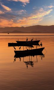 Preview wallpaper boats, cranes, silhouettes, twilight, water