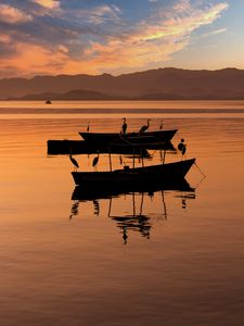 Preview wallpaper boats, cranes, silhouettes, twilight, water