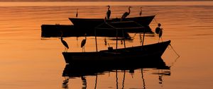 Preview wallpaper boats, cranes, silhouettes, twilight, water